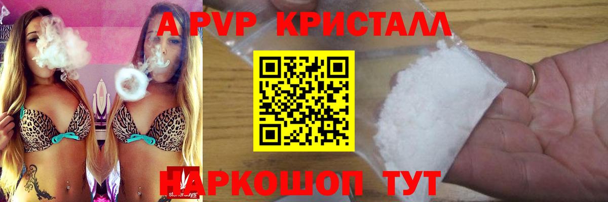 Alfa_PVP СК Балтийск