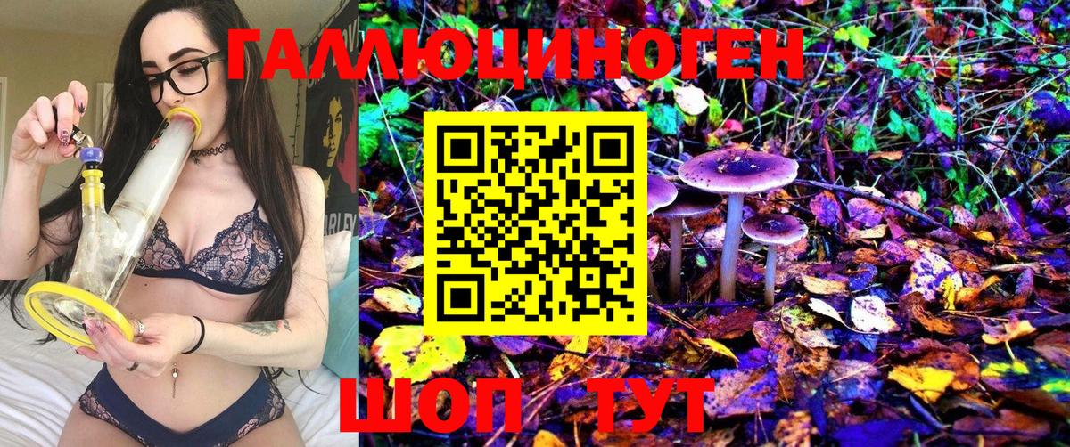 Псилоцибиновые грибы Magic Shrooms Балтийск