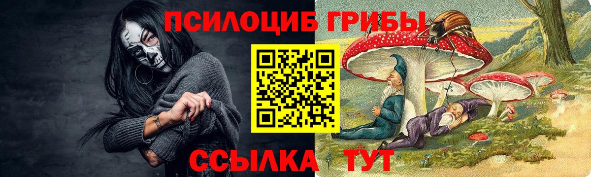 Балтийск  Галлюциногенные грибы Magic Shrooms  Вход с VPN  что такое   Псилоцибиновые грибы ЛСД 